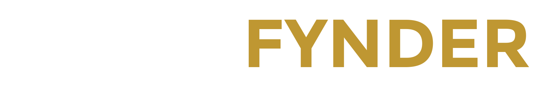 Grupo Fynder